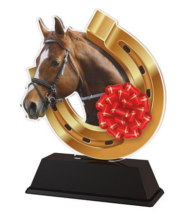 Akrylátová trofej - kůň