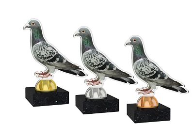 Trofej akrylátová - holub